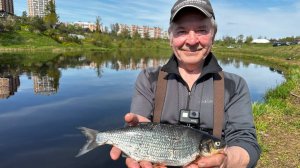 Рыбалка на реке Тосно. Место незнакомое, но красивое. Открыли летний сезон. Сырть и Уклея.