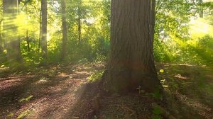 Жилой комплекс Флора город Сочи, Новостройка от застройщика. #жкФлора #жкФлораСочи #жкФлораКудепста