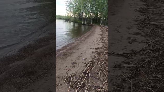 Хроники июньской рыбалки смотреть онлайн