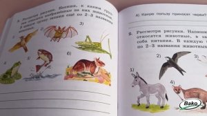 Окружающий мир. Разноуровневые задания. 3 класс