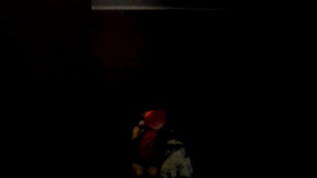 ЕДУ НА МОРЕ !МОИ ПОКУПКИ НА МОРЕ ШЛЯПА,ТУНИКА, БРИДЖИ! смотреть онлайн