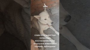 позитивное видео
