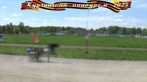17.05.2025 - заезд 2: Приз "Памяти А.М. Ползуновой" Для лошадей рысистой породы 3-х лет. 1600 м.