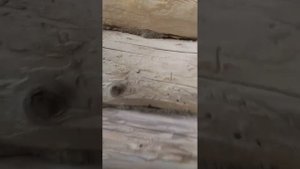 пескоструй сруба