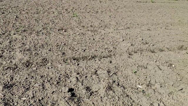 З DEUS LITE ПО ПОЛЯХ,СРІБЛО ТА МОНЕТИ. смотреть онлайн