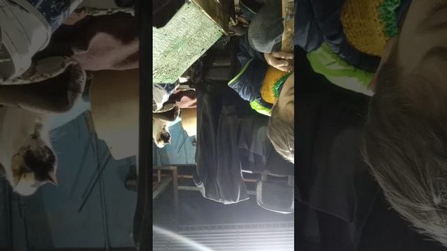 телевизор