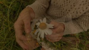 Любит, не любит