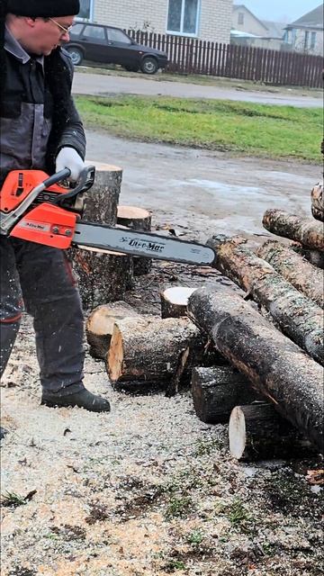 Бензопила Олео-мак. Качественный инструмент. #wood #бенз? смотреть онлайн