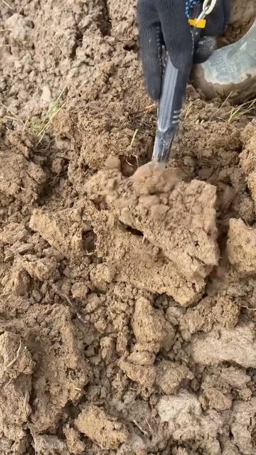 #коп #металлоискатель #находки #поискмонет #metaldetector #шу? смотреть онлайн