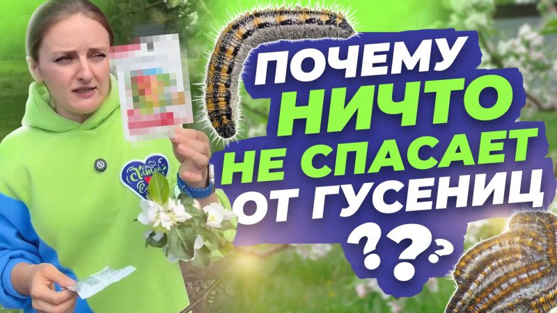 ЧЕМ БОРОТЬСЯ С ГУСЕНИЦАМИ НА ДЕРЕВЬЯХ