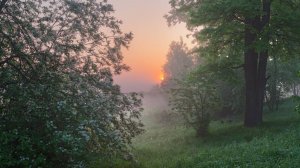 Яблоневый   вечер. Поёт  Валентина Дробышева