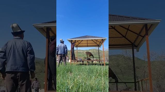 3×3сору(тапчан)тел:0502 909 996 смотреть онлайн