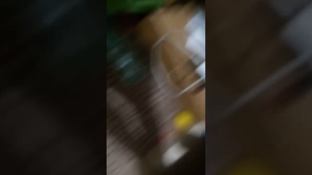 про пистолет смотреть онлайн