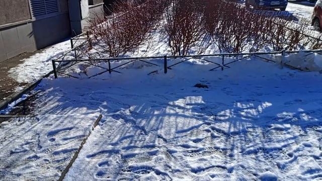 ЭТА ДОСТАВКА ПРОСТО ИМБА #курьер #яндекс #обзор #электр смотреть онлайн