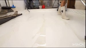 История Даши Рокс + чистка ковра
