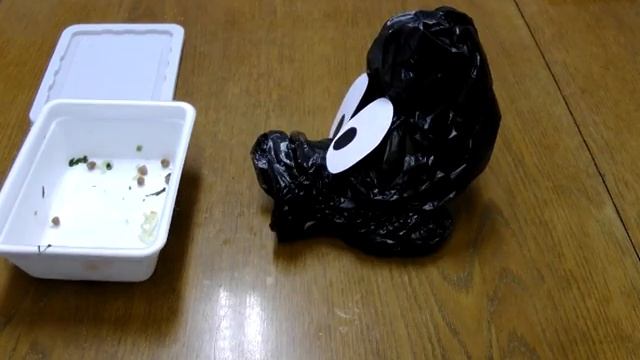 Видеостудия "Подиум" - ролик "Аналогия" смотреть онлайн