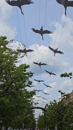 Аллея Белых журавлей в Калуге