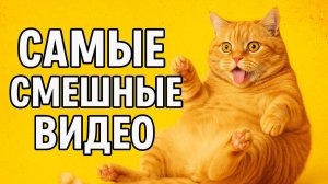 Смех до слёз: лучшие приколы №143