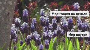 Медитация на деньги | Откроет твой денежный канал | Деньги придут откуда не ждёшь