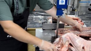 Видео работы пилы для мяса Foodatlas JG-250