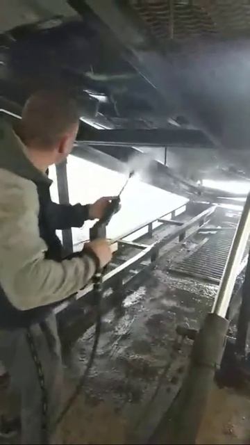 Мойка днища. Полная мойка  двигателя