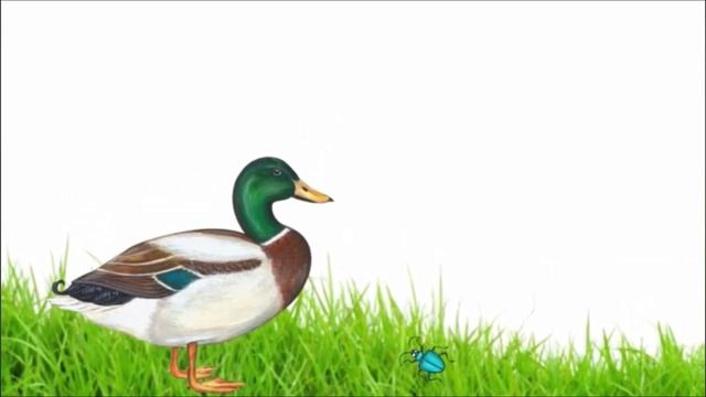 СЧАСТЛИВЫЙ ЖУК. Юнна Мориц
