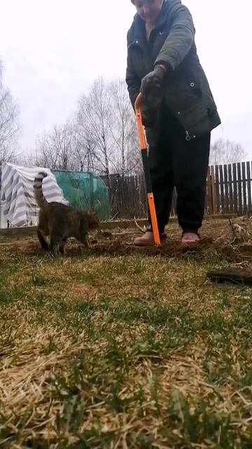 Купила ручной культиватор) Грядки не копаю смотреть онлайн