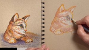 Котенок.  Как рисовать цветными карандашами на цветно?