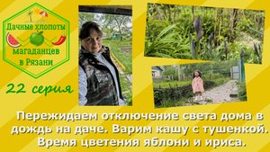 Пережидаем отключение света дома в дождь на даче. Варим кашу с тушенкой. Цвете яблоня и ирисы