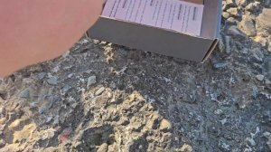 Проекция на лобое стекло