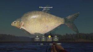 Восточный лещ: мой трофей на сибирской Тунгуске в Русской рыбалке 4!