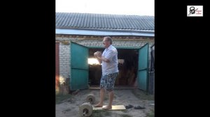 Швунг штанги 52 кг