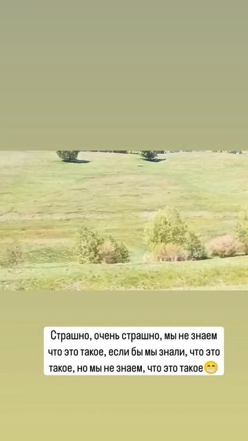 что за круги?    #бугульма #Татарстан #природа
