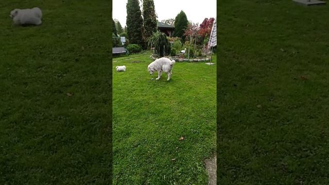 И всё-таки любовь смотреть онлайн