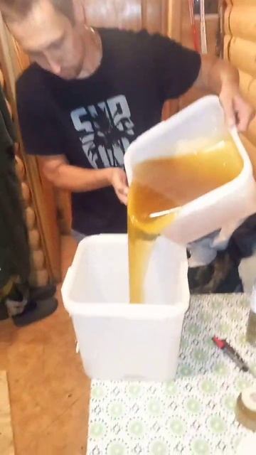 переливаю липовый мёд 🍯😋#подмосковье # #пчеловодство #пчелы# #мед #насекомы #природа смотреть онлайн