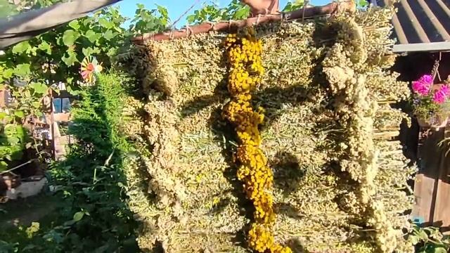 🏵️Гобелен из трав!🍀 смотреть онлайн