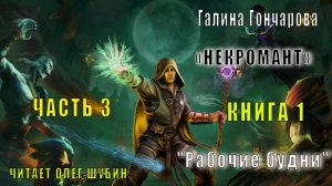 Галина Гончарова "Некромант" (книга 1) "Рабочие будни" (часть 3)