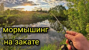 МОРМЫШИНГ НА ЗАКАТЕ ДНЯ !!! ЧЕТЫРЕ ВИДА РЫБ НА NAUTILUS FUKURU !!!