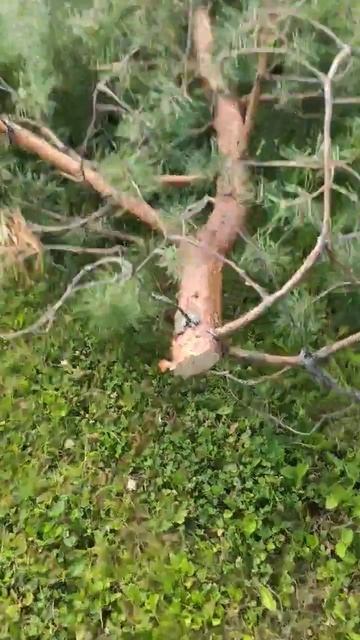 отличный инструмент за небольшие деньги #мастерская #? смотреть онлайн