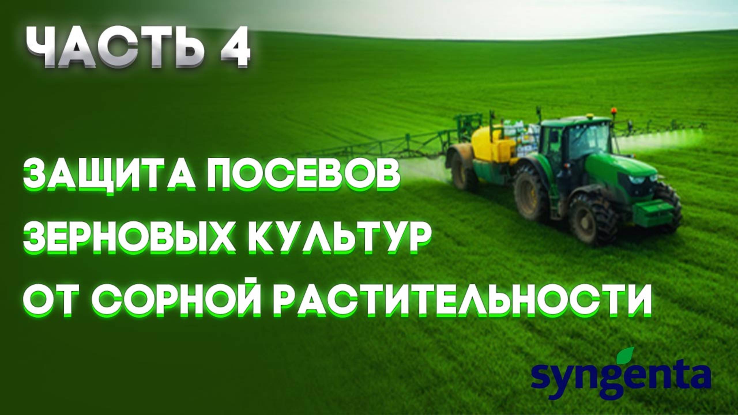 | ЗЕРНОВЫЕ  Часть 4 | Защита посевов зерновых культур от сорной растительности  | SYNGENTA |