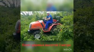 Покос поросли Мульчером. Японский миниТрактор Kubota A19