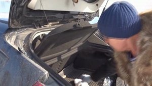 Замена газовых стоек багажника у Форд Фокус 3