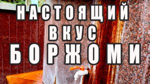Парк Боржоми 🚰 Вкус воды из источника