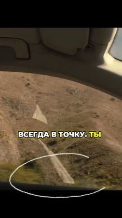 Дикие истории (2014)