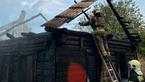 Два ребенка погибли при пожаре в Орловской области