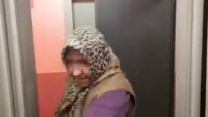 Бабуля и лифт