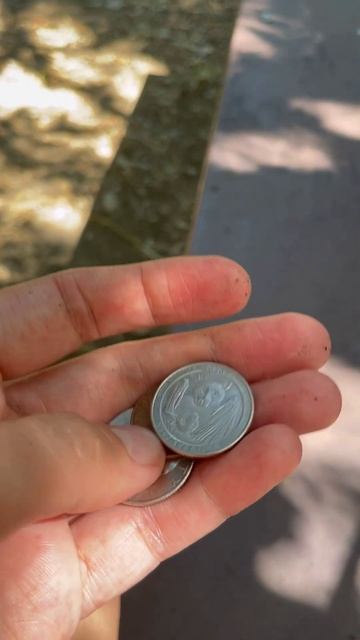 Нашел сокровища #поход #лес #сокровища #монеты #металло смотреть онлайн