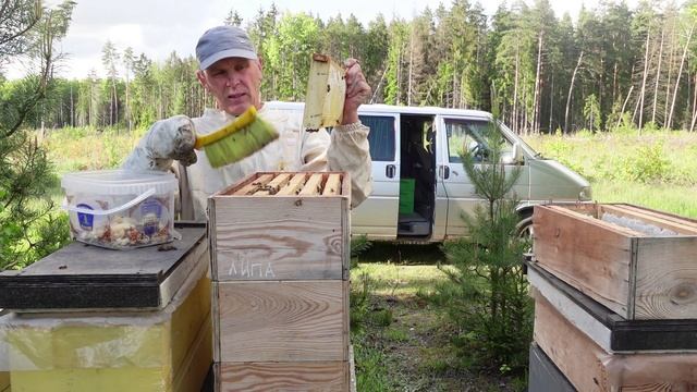 проблема раннего меда смотреть онлайн