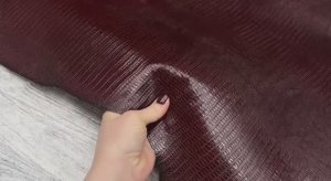 lizard lux chocolade