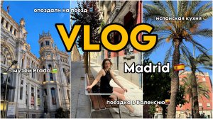 ВЛОГ ИСПАНИЯ 🇪🇸 | Мадрид, Валенсия | Прогулки, шоппинг, искусство | Мой первый travel vlog